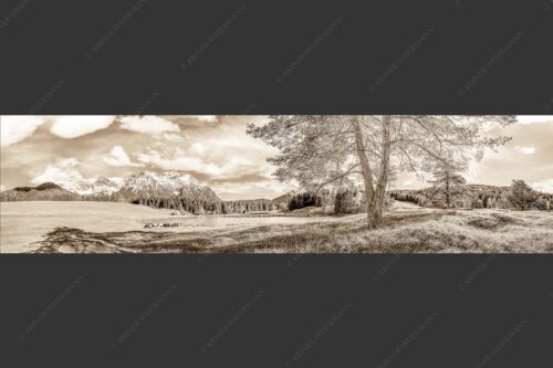 Schafe am Schmalensee mit Blick zum Karwendel - Idylle am See 4:1 sepia -- Schmalensee Schafe und Karwendel - mehr Infos bei www.Kriner-Weiermann.de