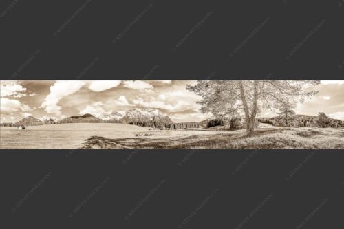 Schafe am Schmalensee mit Blick zum Karwendel - Idylle am See 5:1 sepia -- Schmalensee Schafe und Karwendel - mehr Infos bei www.Kriner-Weiermann.de