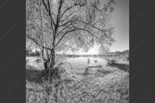Blick über den Kochelsee in den Sonnenaufgang - Immer wieder geht die Sonne auf 1:1 sw -- Kochelsee - mehr Infos bei www.Kriner-Weiermann.de