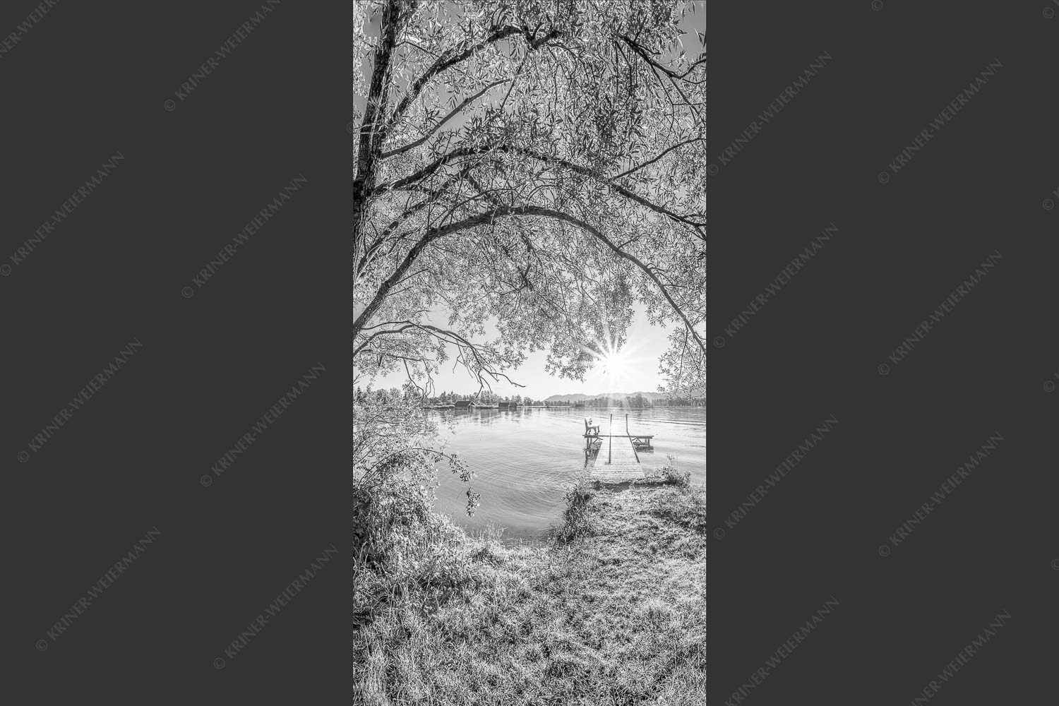 Blick über den Kochelsee in den Sonnenaufgang - Immer wieder geht die Sonne auf 1:2 sw -- Kochelsee - mehr Infos bei www.Kriner-Weiermann.de
