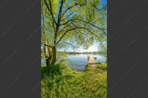 Blick über den Kochelsee in den Sonnenaufgang - Immer wieder geht die Sonne auf 2:3  -- Kochelsee - mehr Infos bei www.Kriner-Weiermann.de
