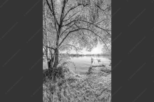 Blick über den Kochelsee in den Sonnenaufgang - Immer wieder geht die Sonne auf 2:3 sw -- Kochelsee - mehr Infos bei www.Kriner-Weiermann.de