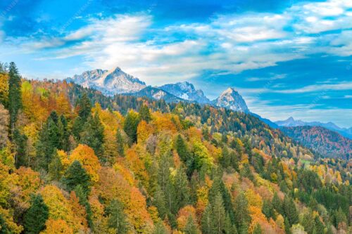 Blick über Herbstwald zum Zugspitzmassiv im Wettersteingebirge - Indian Summer Dahoam 3:2  -- Herbstfärbung mit Alpspitze Zugspitze und Waxenstein - mehr Infos bei www.Kriner-Weiermann.de