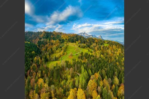 Blick über Herbstwald zum Zugspitzmassiv im Wettertsteingebirge - Indian Summer Dahoam II 1:1  -- Herbstfarben am Wamberg mit Wetterstein - mehr Infos bei www.Kriner-Weiermann.de