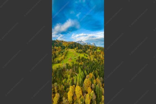 Blick über Herbstwald zum Zugspitzmassiv im Wettertsteingebirge - Indian Summer Dahoam II 1:2  -- Herbstfarben am Wamberg mit Wetterstein - mehr Infos bei www.Kriner-Weiermann.de