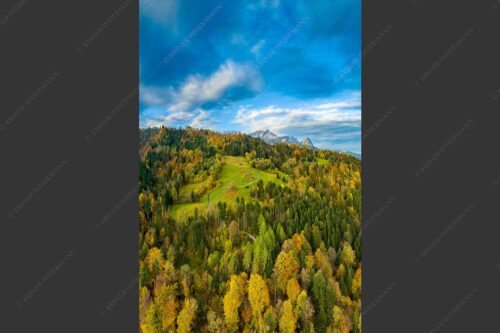 Blick über Herbstwald zum Zugspitzmassiv im Wettertsteingebirge - Indian Summer Dahoam II 2:3  -- Herbstfarben am Wamberg mit Wetterstein - mehr Infos bei www.Kriner-Weiermann.de