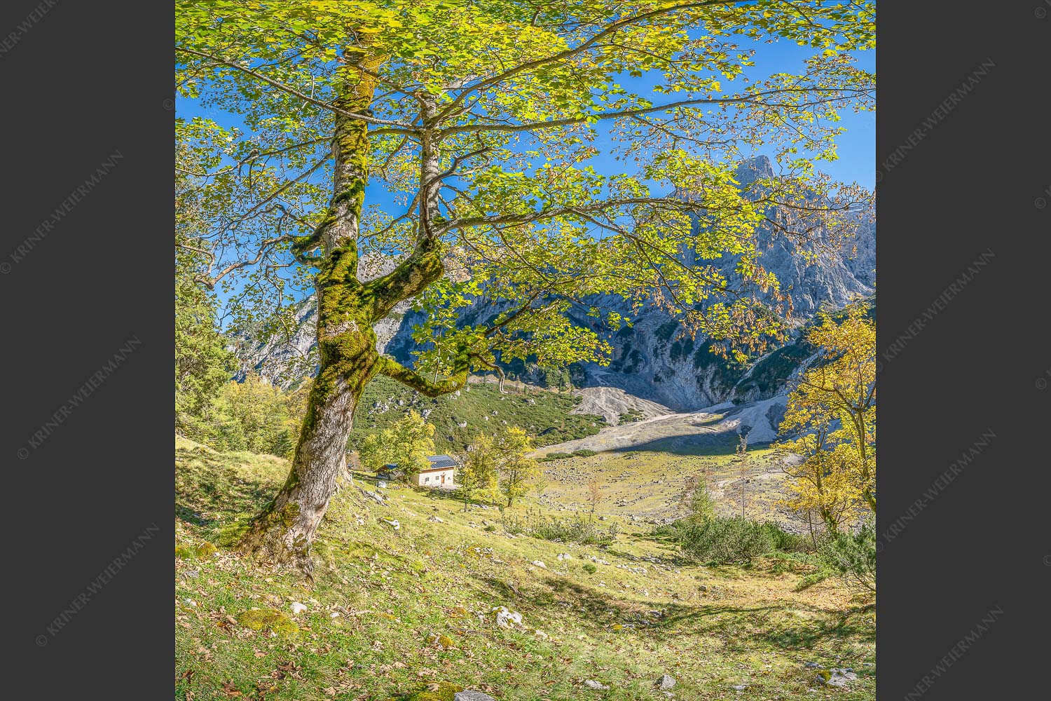 Letzte Sonne im Oberreintal im Wetterstein - Keiner mehr da! 1:1  -- Herbst Ahorn mit Oberreintalhütte - mehr Infos bei www.Kriner-Weiermann.de