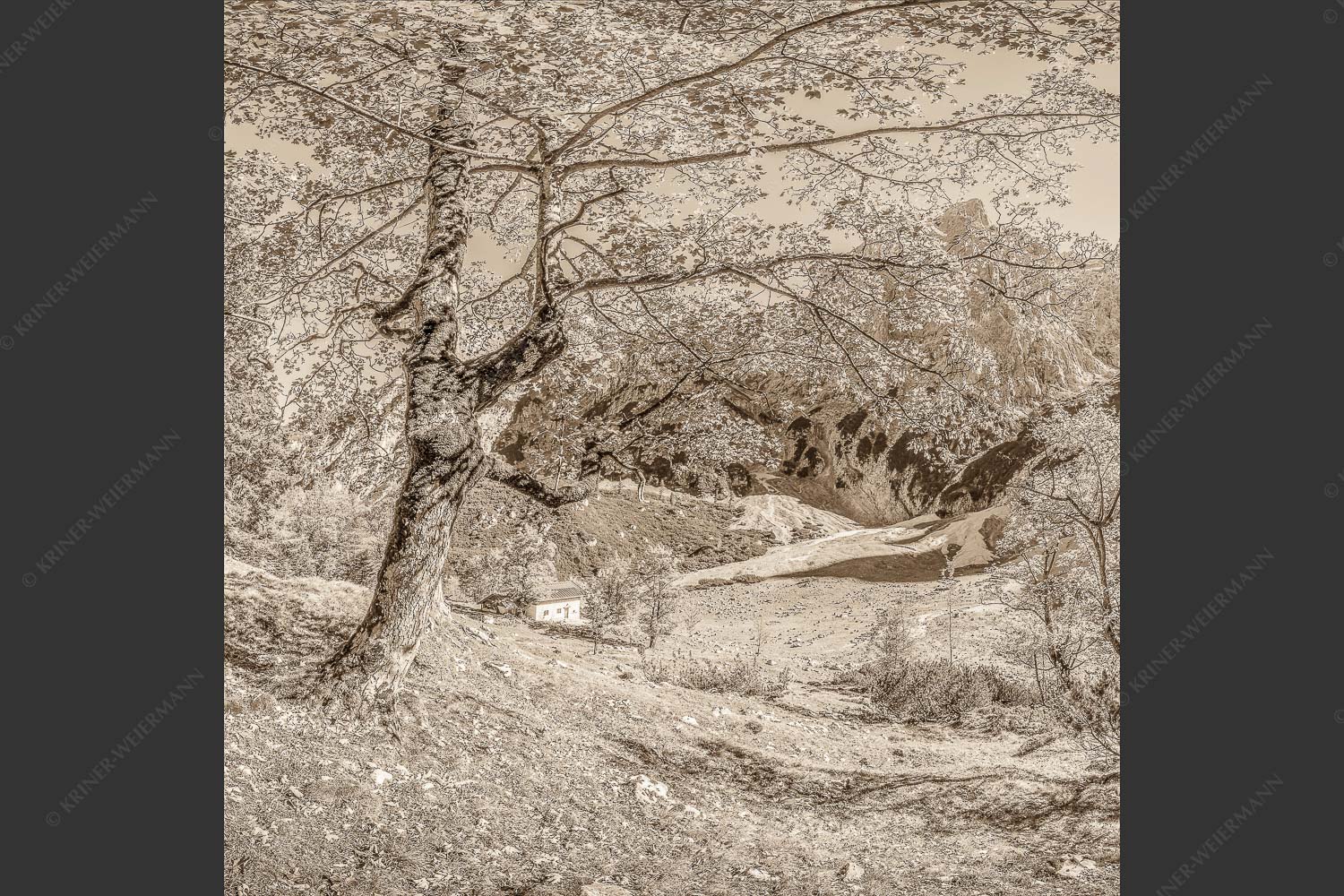 Letzte Sonne im Oberreintal im Wetterstein - Keiner mehr da! 1:1 sepia -- Herbst Ahorn mit Oberreintalhütte - mehr Infos bei www.Kriner-Weiermann.de
