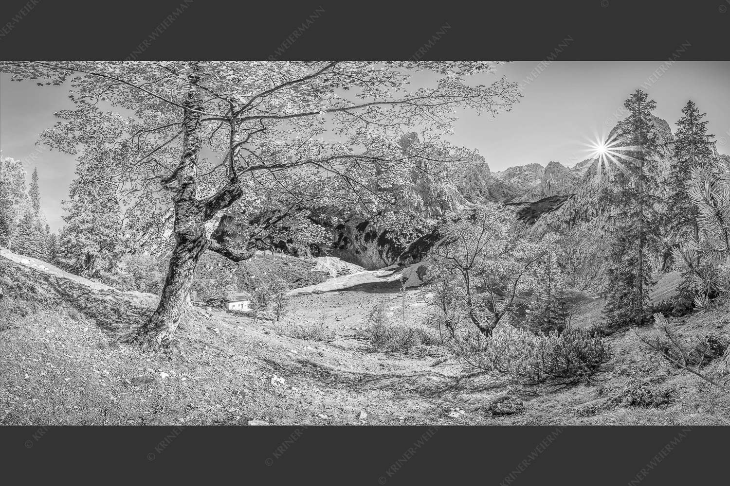 Letzte Sonne im Oberreintal im Wetterstein - Keiner mehr da! 2:1 sw -- Herbst Ahorn mit Oberreintalhütte - mehr Infos bei www.Kriner-Weiermann.de