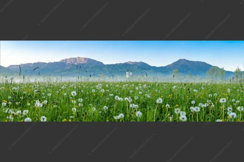 Kloster Benediktbeuern mit Benediktenwand im Hintergrund - Klosters Vorgarten 3:1  -- Löwenzahn Benediktbeuern Benediktenwand - mehr Infos bei www.Kriner-Weiermann.de