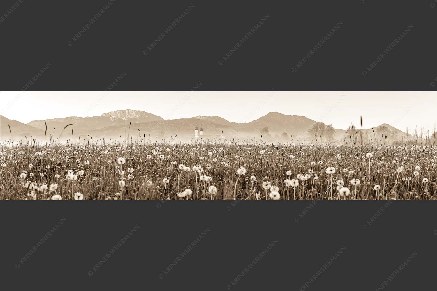 Kloster Benediktbeuern mit Benediktenwand im Hintergrund - Klosters Vorgarten 4:1 sepia -- Löwenzahn Benediktbeuern Benediktenwand - mehr Infos bei www.Kriner-Weiermann.de