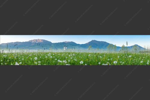Kloster Benediktbeuern mit Benediktenwand im Hintergrund - Klosters Vorgarten 5:1  -- Löwenzahn Benediktbeuern Benediktenwand - mehr Infos bei www.Kriner-Weiermann.de