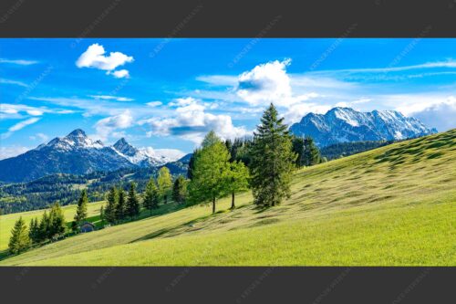 Blick über Buckelwiesen zu den Arnspitzen und Wettersteingebirge - Malerisch 2:1  -- Buckelwiese Arnspitze und Wetterstein - mehr Infos bei www.Kriner-Weiermann.de