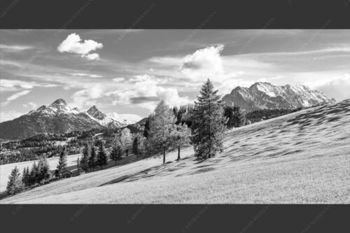 Blick über Buckelwiesen zu den Arnspitzen und Wettersteingebirge - Malerisch 2:1 sw -- Buckelwiese Arnspitze und Wetterstein - mehr Infos bei www.Kriner-Weiermann.de