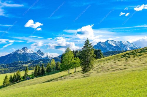Blick über Buckelwiesen zu den Arnspitzen und Wettersteingebirge - Malerisch 3:2  -- Buckelwiese Arnspitze und Wetterstein - mehr Infos bei www.Kriner-Weiermann.de