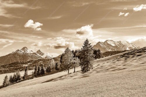 Blick über Buckelwiesen zu den Arnspitzen und Wettersteingebirge - Malerisch 3:2 sepia -- Buckelwiese Arnspitze und Wetterstein - mehr Infos bei www.Kriner-Weiermann.de