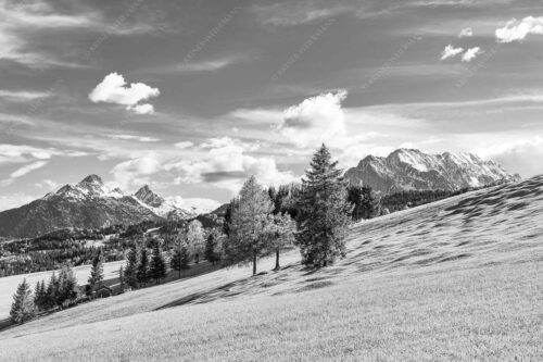 Blick über Buckelwiesen zu den Arnspitzen und Wettersteingebirge - Malerisch 3:2 sw -- Buckelwiese Arnspitze und Wetterstein - mehr Infos bei www.Kriner-Weiermann.de