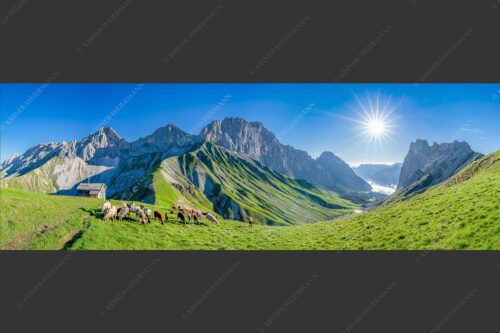 Bergschafe am Scharnitzjoch mit Oberreintalschrofen, Scharnitzspitze und Schüsselkar im Wettersteingebirge - Malerische Sommerweide II 3:1  -- Schafe mit Schüsselkar und Scharnitzspitze - mehr Infos bei www.Kriner-Weiermann.de