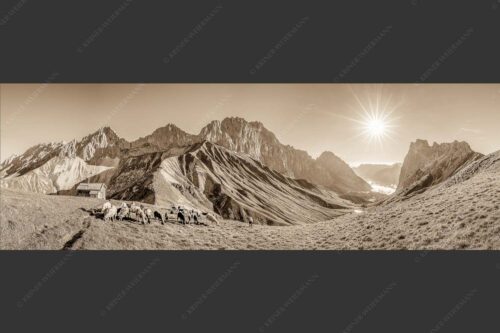 Bergschafe am Scharnitzjoch mit Oberreintalschrofen, Scharnitzspitze und Schüsselkar im Wettersteingebirge - Malerische Sommerweide II 3:1 sepia -- Schafe mit Schüsselkar und Scharnitzspitze - mehr Infos bei www.Kriner-Weiermann.de