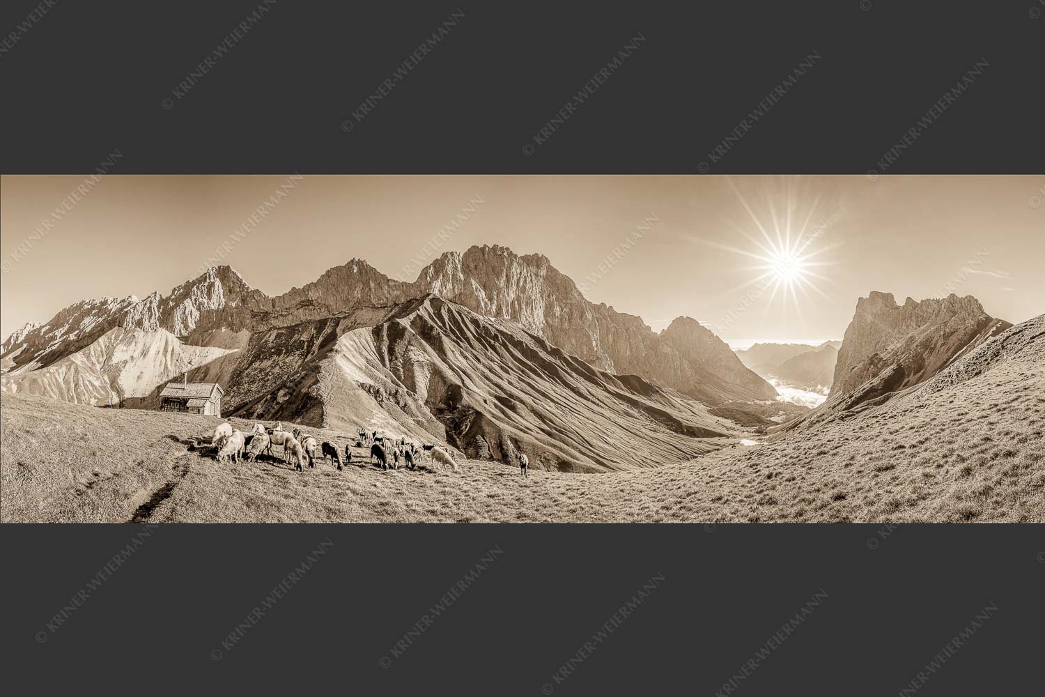 Bergschafe am Scharnitzjoch mit Oberreintalschrofen, Scharnitzspitze und Schüsselkar im Wettersteingebirge - Malerische Sommerweide II 3:1 sepia -- Schafe mit Schüsselkar und Scharnitzspitze - mehr Infos bei www.Kriner-Weiermann.de