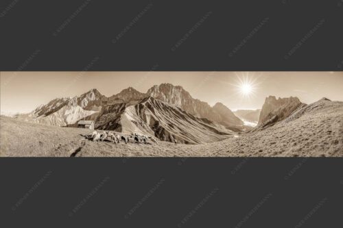 Bergschafe am Scharnitzjoch mit Oberreintalschrofen, Scharnitzspitze und Schüsselkar im Wettersteingebirge - Malerische Sommerweide II 4:1 sepia -- Schafe mit Schüsselkar und Scharnitzspitze - mehr Infos bei www.Kriner-Weiermann.de