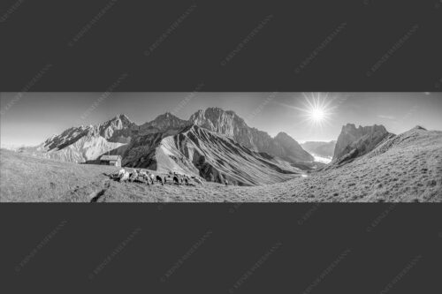 Bergschafe am Scharnitzjoch mit Oberreintalschrofen, Scharnitzspitze und Schüsselkar im Wettersteingebirge - Malerische Sommerweide II 4:1 sw -- Schafe mit Schüsselkar und Scharnitzspitze - mehr Infos bei www.Kriner-Weiermann.de