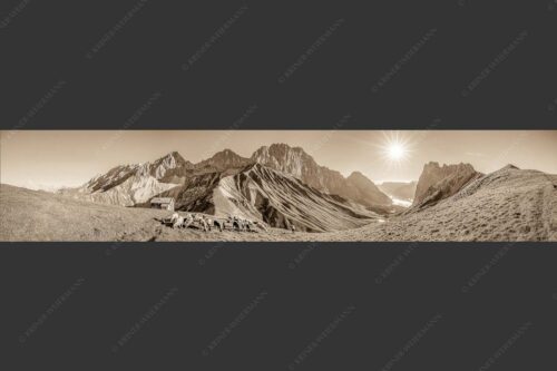 Bergschafe am Scharnitzjoch mit Oberreintalschrofen, Scharnitzspitze und Schüsselkar im Wettersteingebirge - Malerische Sommerweide II 5:1 sepia -- Schafe mit Schüsselkar und Scharnitzspitze - mehr Infos bei www.Kriner-Weiermann.de