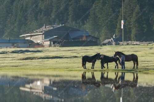 Nach langen Regenfällen bildet sich ein froßer See am Hochplateau der Esterbergalm - Nach dem Regen 3:2  -- See an der Esterbergalm - mehr Infos bei www.Kriner-Weiermann.de
