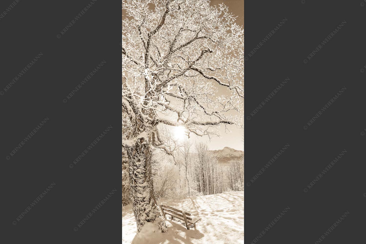 Aussichtsbank am Eckbauer mit Blick zur Dreitorspitze im Wettersteingebirge - Rast 1:2 sepia -- Rastbank mit Baum im Winter am Eckbauer - mehr Infos bei www.Kriner-Weiermann.de