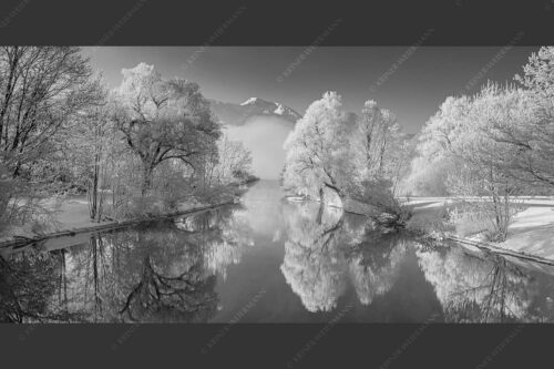 Nach einer langen Nebelphase hängt dicker Reif in den bäumen rund um den Kochelsee - Raureif 2:1 sw -- Winterstimmung am Kochelsee - mehr Infos bei www.Kriner-Weiermann.de