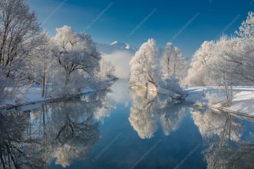 Nach einer langen Nebelphase hängt dicker Reif in den bäumen rund um den Kochelsee - Raureif 3:2  -- Winterstimmung am Kochelsee - mehr Infos bei www.Kriner-Weiermann.de