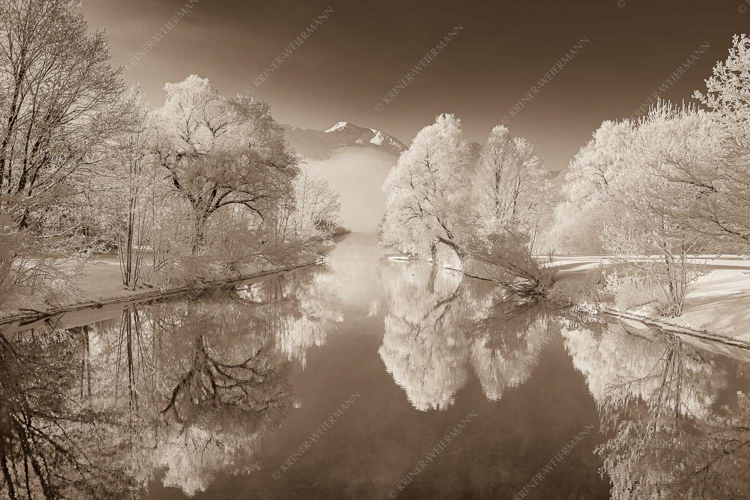 Nach einer langen Nebelphase hängt dicker Reif in den bäumen rund um den Kochelsee - Raureif 3:2 sepia -- Winterstimmung am Kochelsee - mehr Infos bei www.Kriner-Weiermann.de