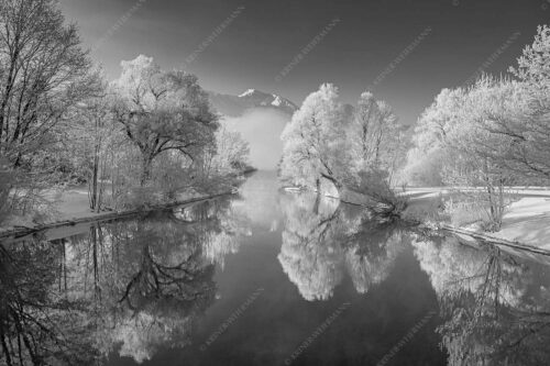 Nach einer langen Nebelphase hängt dicker Reif in den bäumen rund um den Kochelsee - Raureif 3:2 sw -- Winterstimmung am Kochelsee - mehr Infos bei www.Kriner-Weiermann.de