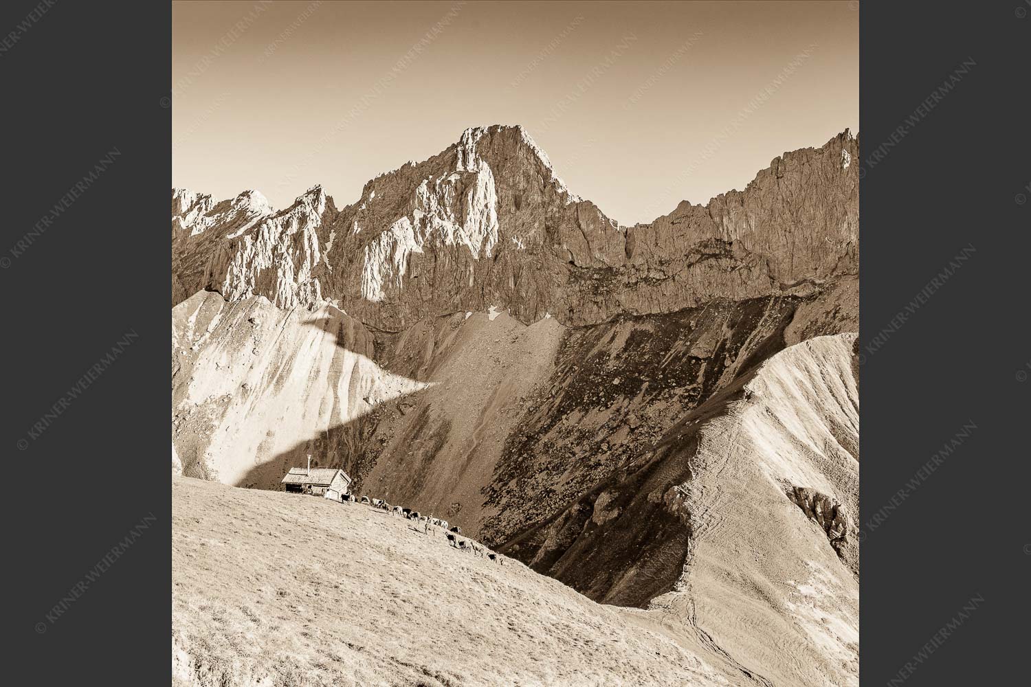 Bergschafe an der Erinnerungshütte mit Oberreintalschrofen und Scharnitzspitze im Wettersteingebirge - Scharnitzjoch 1:1 sepia -- Schafe mit Erinnerungshütte im Wetterstein - mehr Infos bei www.Kriner-Weiermann.de