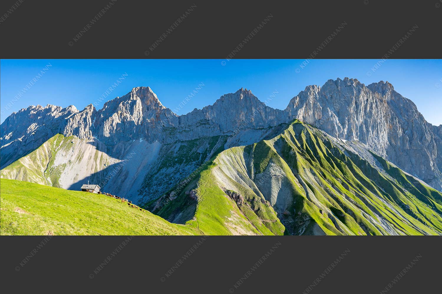 Bergschafe an der Erinnerungshütte mit Oberreintalschrofen und Scharnitzspitze im Wettersteingebirge - Scharnitzjoch 2,5:1  -- Schafe mit Erinnerungshütte im Wetterstein - mehr Infos bei www.Kriner-Weiermann.de