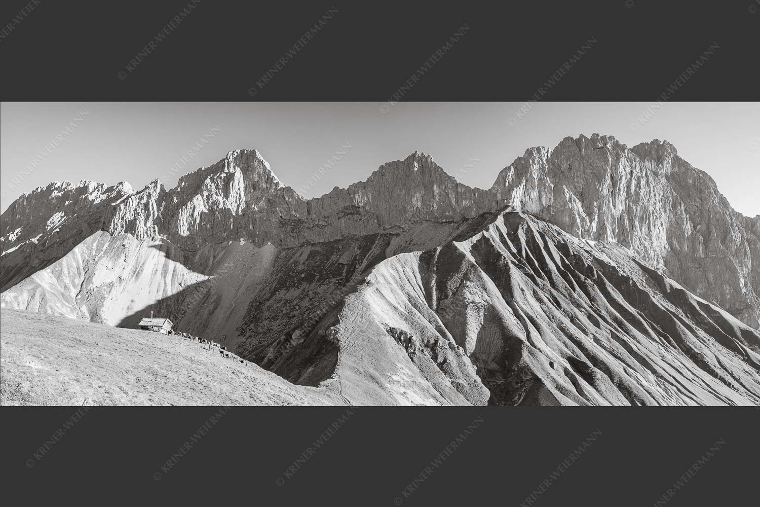 Bergschafe an der Erinnerungshütte mit Oberreintalschrofen und Scharnitzspitze im Wettersteingebirge - Scharnitzjoch 2,5:1 sw -- Schafe mit Erinnerungshütte im Wetterstein - mehr Infos bei www.Kriner-Weiermann.de