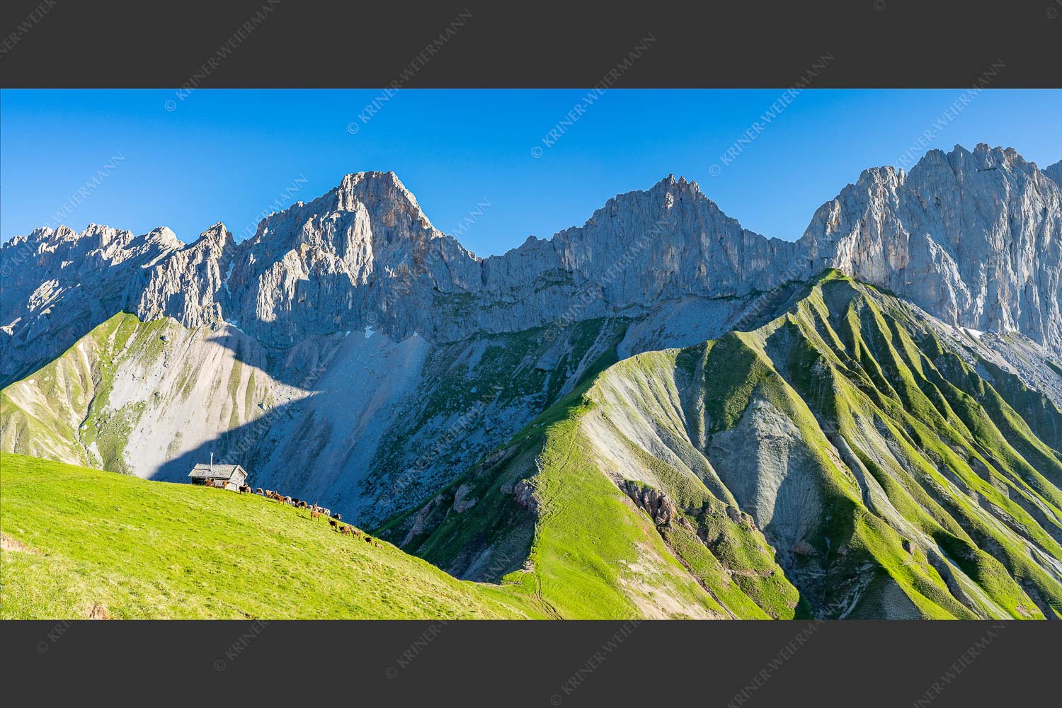 Bergschafe an der Erinnerungshütte mit Oberreintalschrofen und Scharnitzspitze im Wettersteingebirge - Scharnitzjoch 2:1  -- Schafe mit Erinnerungshütte im Wetterstein - mehr Infos bei www.Kriner-Weiermann.de