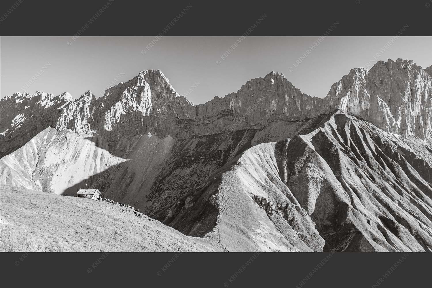 Bergschafe an der Erinnerungshütte mit Oberreintalschrofen und Scharnitzspitze im Wettersteingebirge - Scharnitzjoch 2:1 sw -- Schafe mit Erinnerungshütte im Wetterstein - mehr Infos bei www.Kriner-Weiermann.de