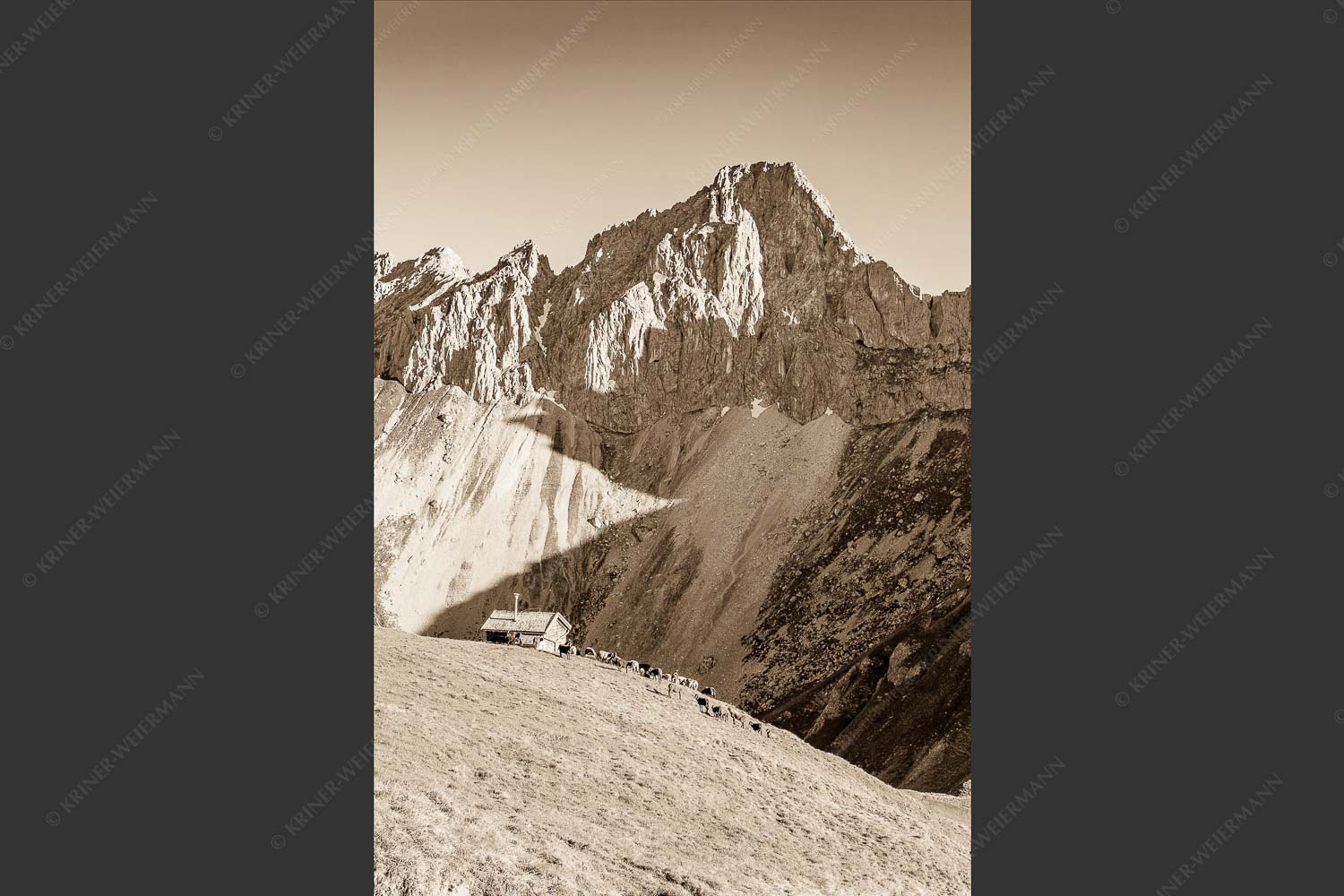 Bergschafe an der Erinnerungshütte mit Oberreintalschrofen und Scharnitzspitze im Wettersteingebirge - Scharnitzjoch 2:3 sepia -- Schafe mit Erinnerungshütte im Wetterstein - mehr Infos bei www.Kriner-Weiermann.de