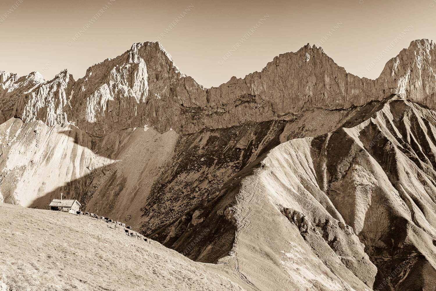 Bergschafe an der Erinnerungshütte mit Oberreintalschrofen und Scharnitzspitze im Wettersteingebirge - Scharnitzjoch 3:2 sepia -- Schafe mit Erinnerungshütte im Wetterstein - mehr Infos bei www.Kriner-Weiermann.de