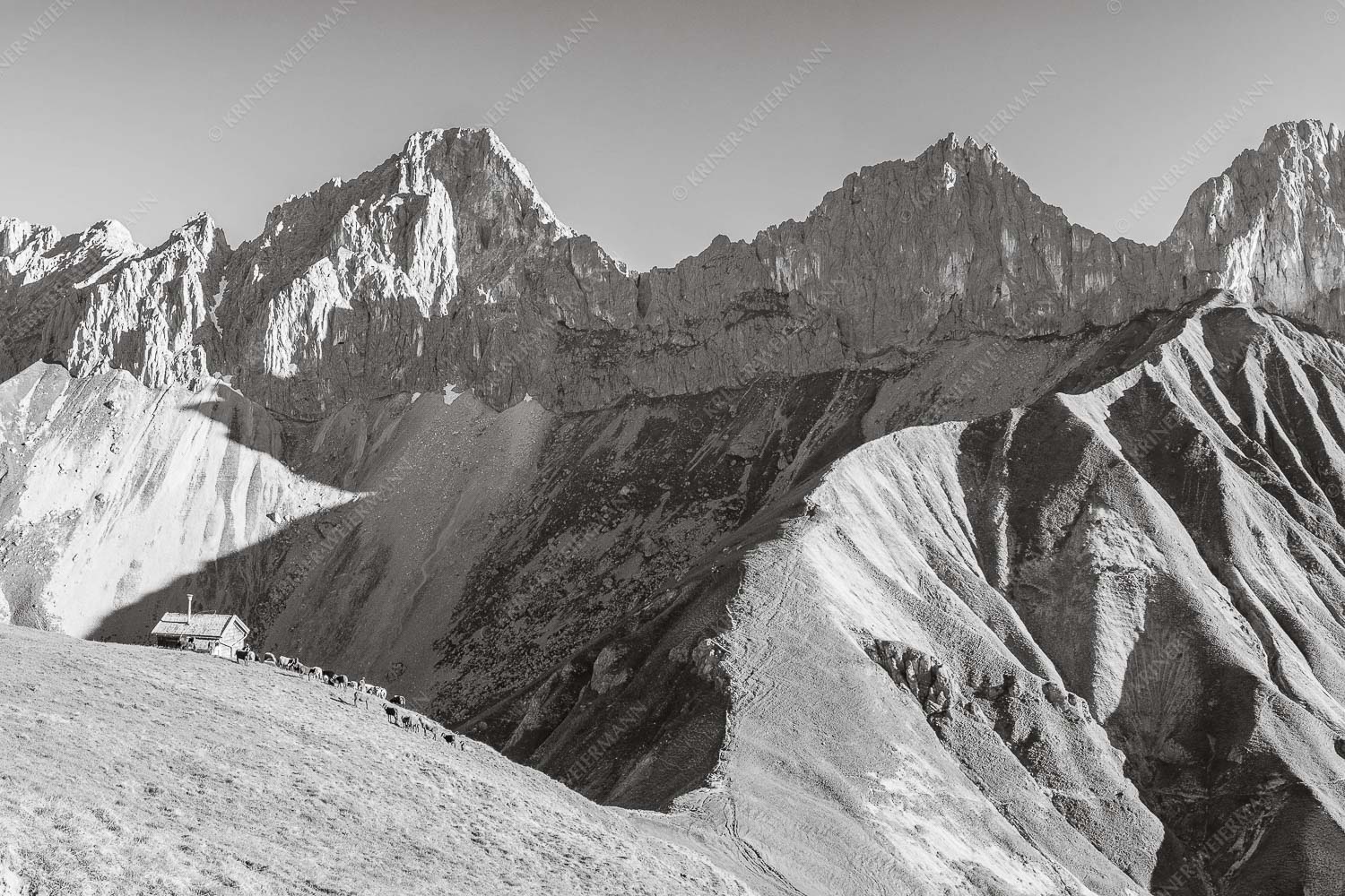 Bergschafe an der Erinnerungshütte mit Oberreintalschrofen und Scharnitzspitze im Wettersteingebirge - Scharnitzjoch 3:2 sw -- Schafe mit Erinnerungshütte im Wetterstein - mehr Infos bei www.Kriner-Weiermann.de