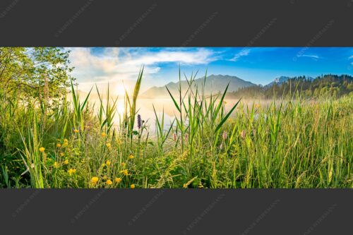 Sonnenaufgang am Barmsee - Schilf 2,5:1  -- Barmsee Ufer mit Soierngebirge - mehr Infos bei www.Kriner-Weiermann.de