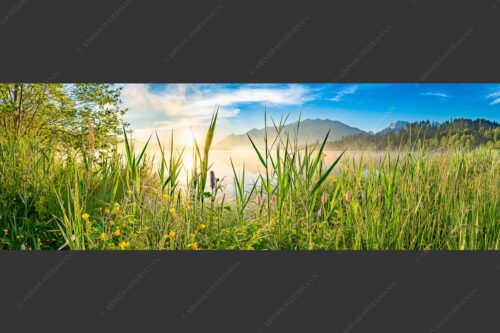 Sonnenaufgang am Barmsee - Schilf 3:1  -- Barmsee Ufer mit Soierngebirge - mehr Infos bei www.Kriner-Weiermann.de