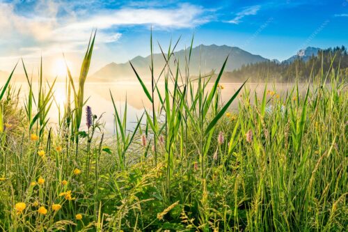 Sonnenaufgang am Barmsee - Schilf 3:2  -- Barmsee Ufer mit Soierngebirge - mehr Infos bei www.Kriner-Weiermann.de