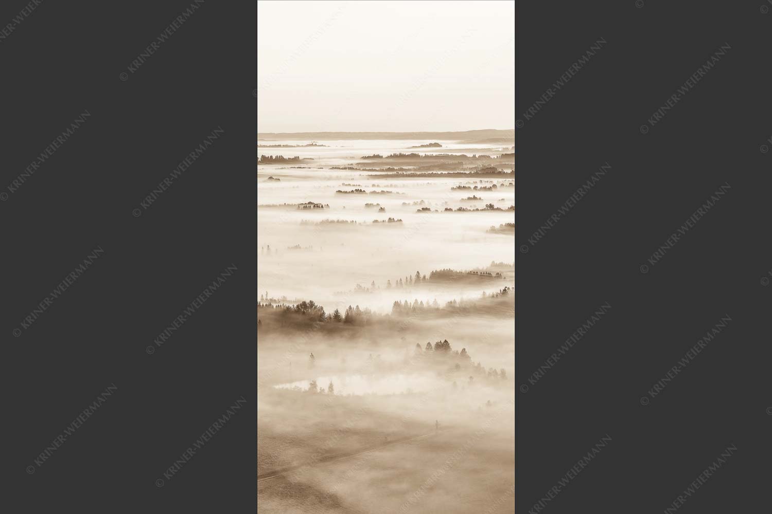 Nebelstimmung im Kochlermoos - Schleiergewand 1:2 sepia -- Morgenstimmung bei Kochel - mehr Infos bei www.Kriner-Weiermann.de
