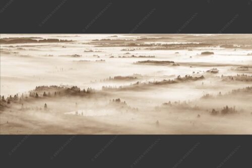 Nebelstimmung im Kochlermoos - Schleiergewand 2,5:1 sepia -- Morgenstimmung bei Kochel - mehr Infos bei www.Kriner-Weiermann.de