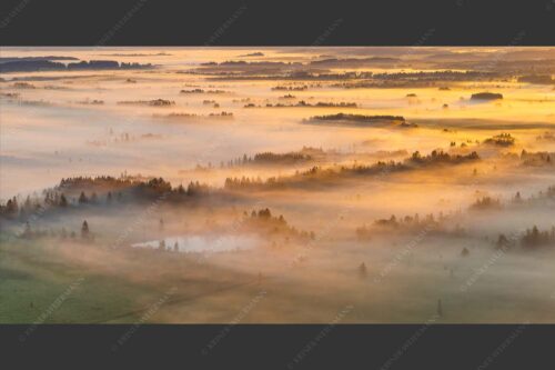 Nebelstimmung im Kochlermoos - Schleiergewand 2:1  -- Morgenstimmung bei Kochel - mehr Infos bei www.Kriner-Weiermann.de