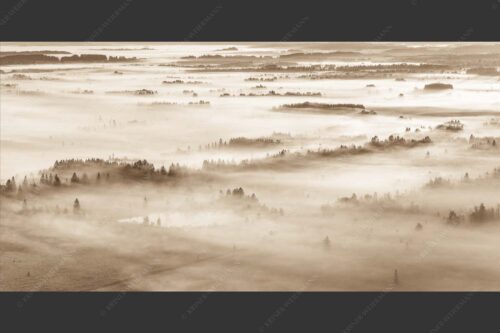 Nebelstimmung im Kochlermoos - Schleiergewand 2:1 sepia -- Morgenstimmung bei Kochel - mehr Infos bei www.Kriner-Weiermann.de