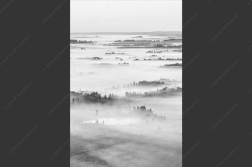 Nebelstimmung im Kochlermoos - Schleiergewand 2:3 sw -- Morgenstimmung bei Kochel - mehr Infos bei www.Kriner-Weiermann.de