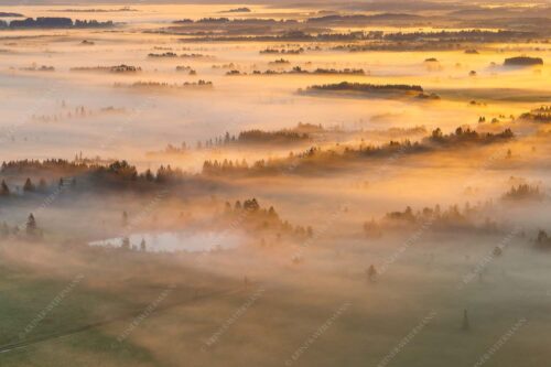Nebelstimmung im Kochlermoos - Schleiergewand 3:2  -- Morgenstimmung bei Kochel - mehr Infos bei www.Kriner-Weiermann.de